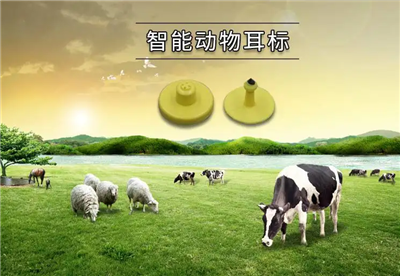RFID畜牧管理提供了科学的管理模式